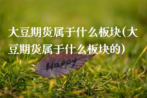 大豆期货属于什么板块(大豆期货属于什么板块的)