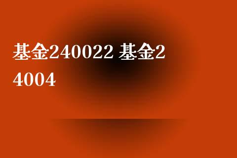 基金240022 基金24004