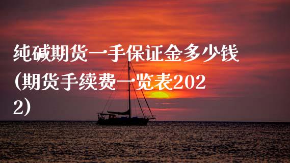 纯碱期货一手保证金多少钱(期货手续费一览表2022)