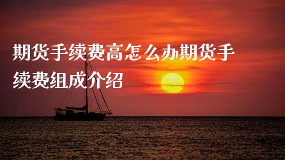 期货手续费高怎么办期货手续费组成介绍