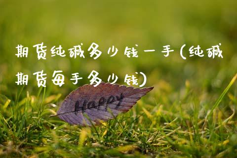期货纯碱多少钱一手(纯碱期货每手多少钱)