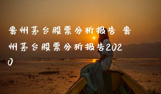 贵州茅台股票分析报告 贵州茅台股票分析报告2020