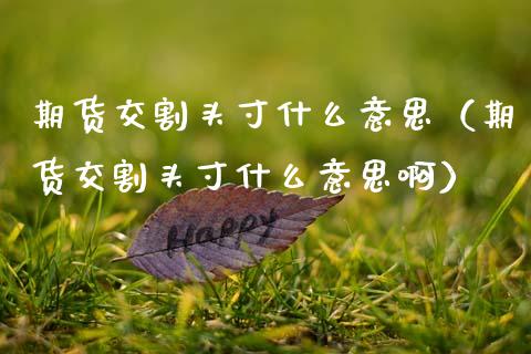 期货交割头寸什么意思（期货交割头寸什么意思啊）