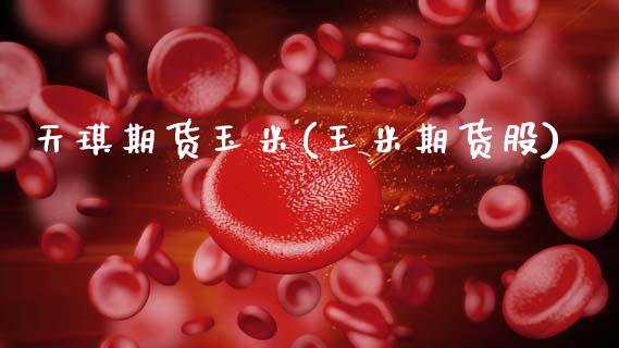 天琪期货玉米(玉米期货股)