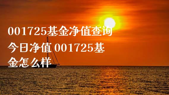 001725基金净值查询今日净值 001725基金怎么样