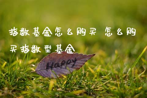 指数基金怎么购买 怎么购买指数型基金
