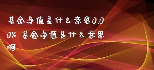 基金净值是什么意思0.00% 基金净值是什么意思啊