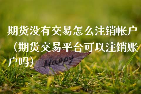 期货没有交易怎么注销帐户（期货交易平台可以注销账户吗）