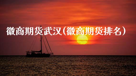徽商期货武汉(徽商期货排名)