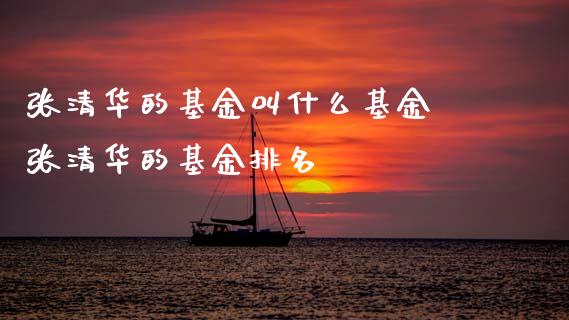 张清华的基金叫什么基金 张清华的基金排名