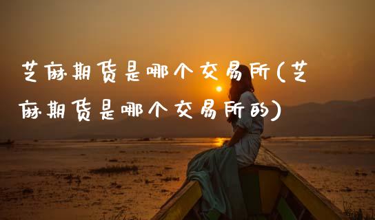 芝麻期货是哪个交易所(芝麻期货是哪个交易所的)