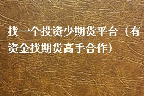 找一个投资少期货平台（有资金找期货高手合作）