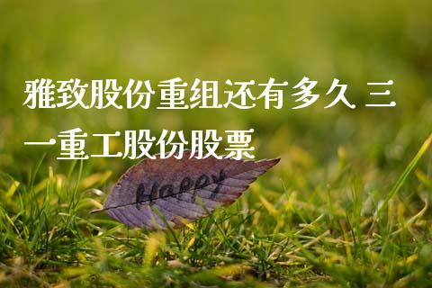 雅致股份重组还有多久 三一重工股份股票