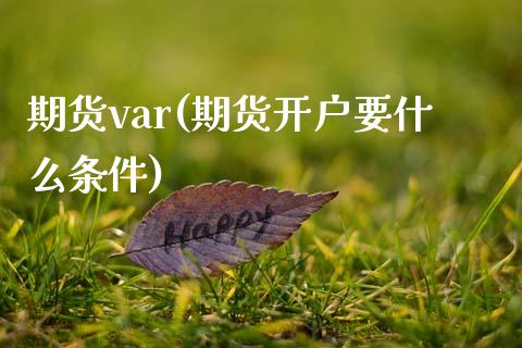 期货var(期货开户要什么条件)