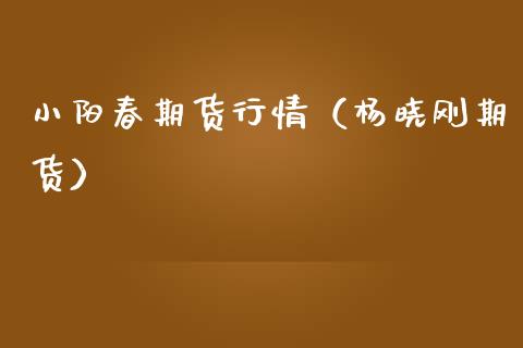 小阳春期货行情（杨晓刚期货）