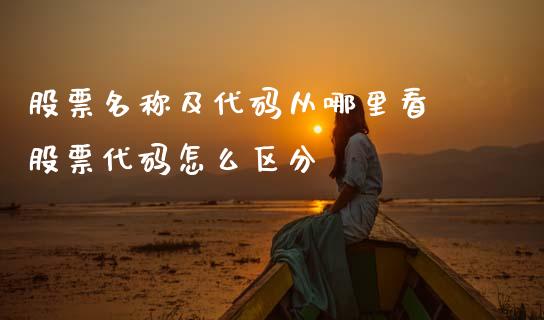 股票名称及代码从哪里看 股票代码怎么区分_https://www.dglong8.com_股票理财_第1张