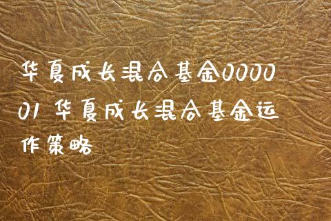 华夏成长混合基金000001 华夏成长混合基金运作策略