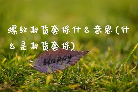 螺纹期货套保什么意思(什么是期货套保)