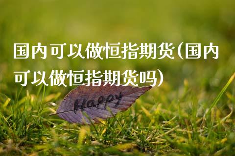 国内可以做恒指期货(国内可以做恒指期货吗)