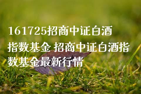 161725招商中证白酒指数基金 招商中证白酒指数基金最新行情