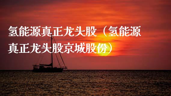 氢能源真正龙头股（氢能源真正龙头股京城股份）