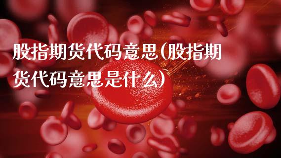 股指期货代码意思(股指期货代码意思是什么)