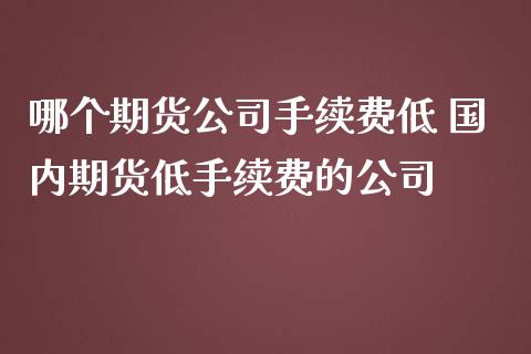 哪个期货公司手续费低 国内期货低手续费的公司
