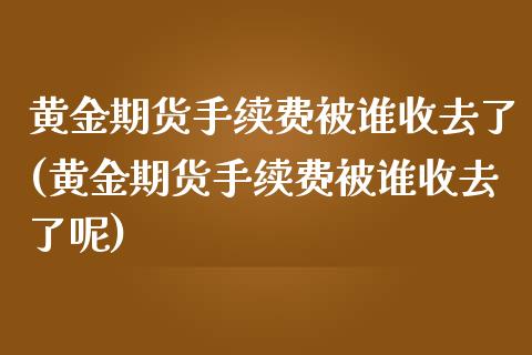 黄金期货手续费被谁收去了(黄金期货手续费被谁收去了呢)