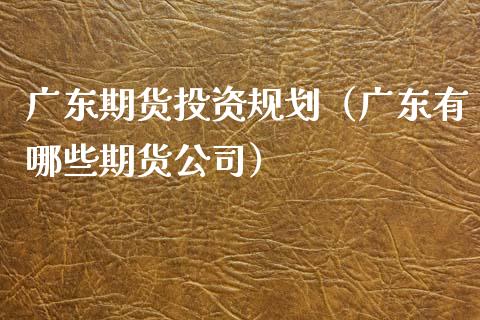 广东期货投资规划（广东有哪些期货公司）