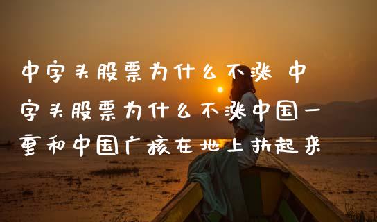 中字头股票为什么不涨 中字头股票为什么不涨中国一重和中国广核在地上扶起来