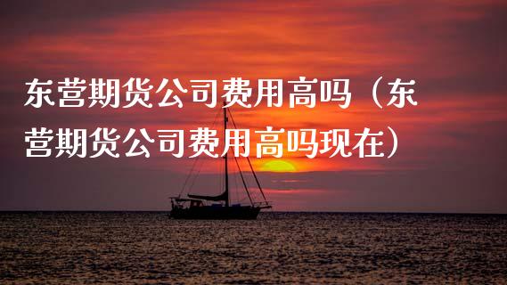 东营期货公司费用高吗（东营期货公司费用高吗现在）