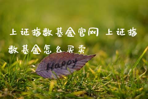 上证指数基金 上证指数基金怎么买卖