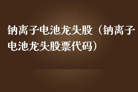 钠离子电池龙头股（钠离子电池龙头股票代码）