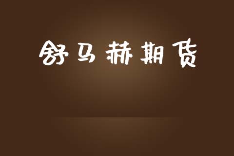 舒马赫期货