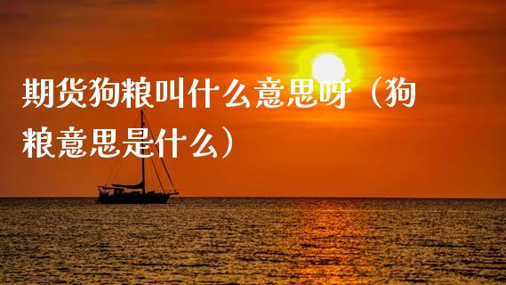期货叫什么意思呀（意思是什么）