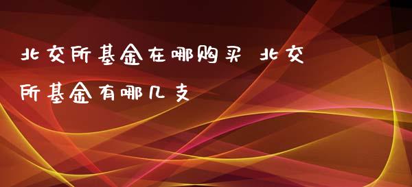 北交所基金在哪购买 北交所基金有哪几支