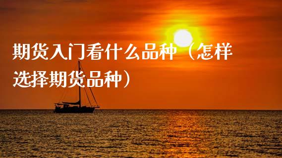 期货入门看什么品种（怎样选择期货品种）