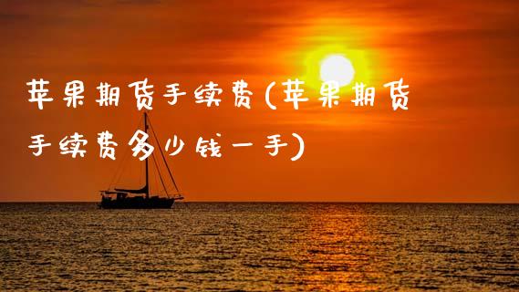 苹果期货手续费(苹果期货手续费多少钱一手)