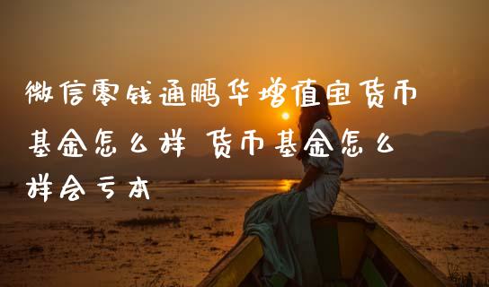 微信零钱通鹏华增值宝货币基金怎么样 货币基金怎么样会亏本_基金理财_第1张_宇龙理财网 微信零钱通鹏华增值宝货币基金怎么样 货币基金怎么样会亏本_https://www.dglong8.com_基金理财_第1张