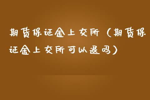 期货保证金上交所（期货保证金上交所可以退吗）
