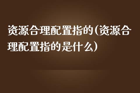 资源合理配置指的(资源合理配置指的是什么)