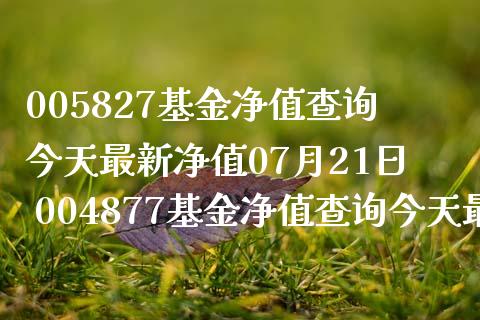 005827基金净值查询今天最新净值07月21日 004877基金净值查询今天最新净值
