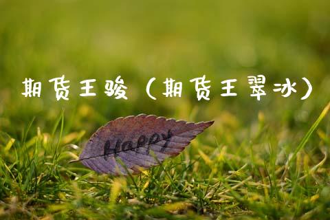 期货王骏（期货王翠冰）