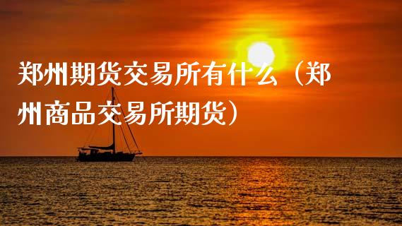 郑州期货交易所有什么（郑州商品交易所期货）