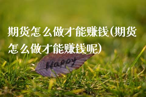 期货怎么做才能赚钱(期货怎么做才能赚钱呢)