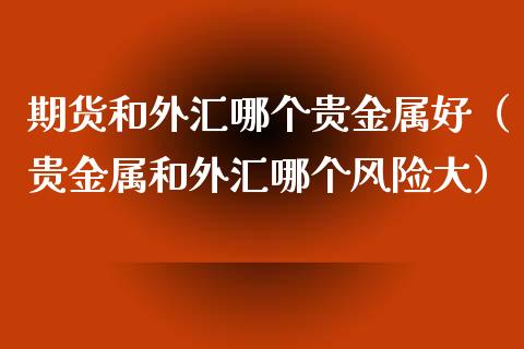 期货和外汇哪个贵金属好（贵金属和外汇哪个风险大）