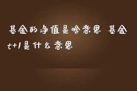 基金的净值是啥意思 基金t+1是什么意思