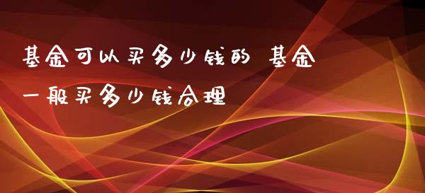 基金可以买多少钱的 基金一般买多少钱合理