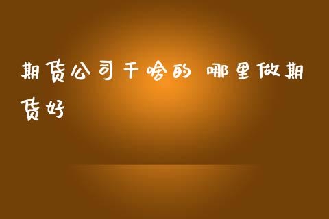 期货公司干啥的 哪里做期货好