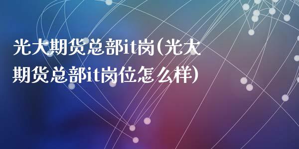 光大期货总部it岗(光大期货总部it岗位怎么样)